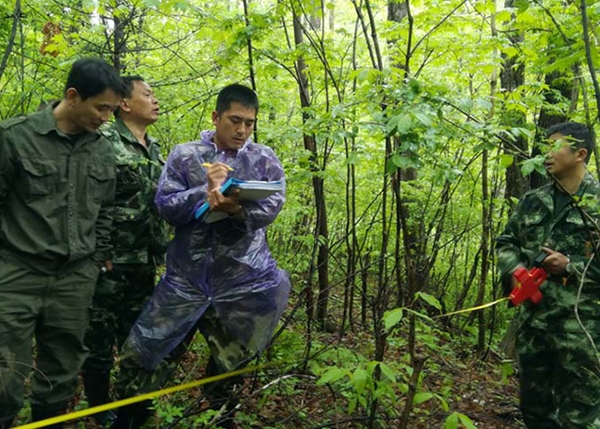 平顶山林业调查规划设计